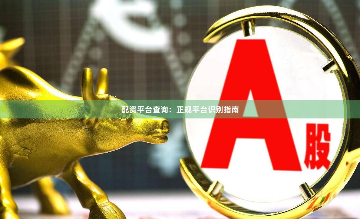 配资平台查询：正规平台识别指南